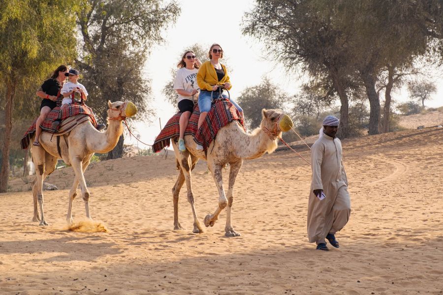 Camel ride in RAK
