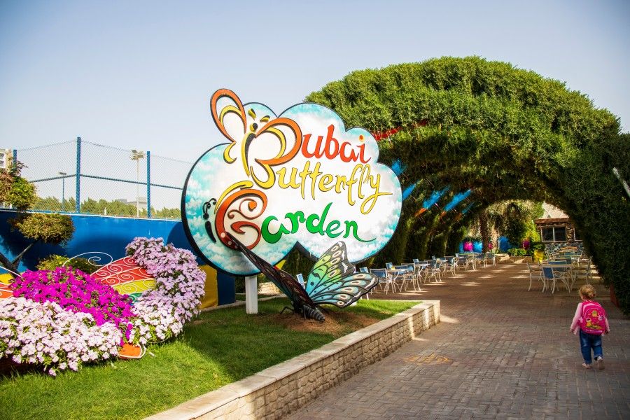 Dubai Butterfly Garden