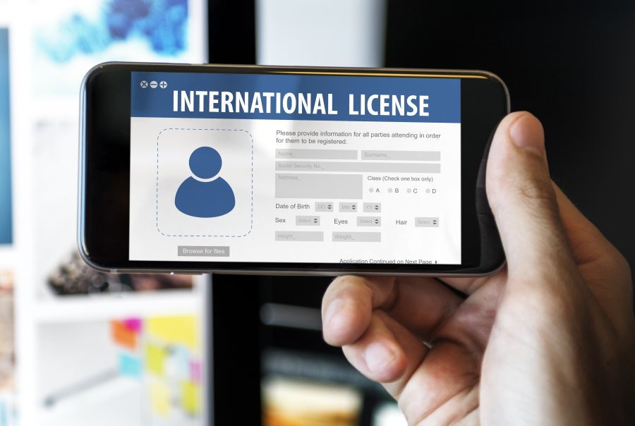 International Driving License