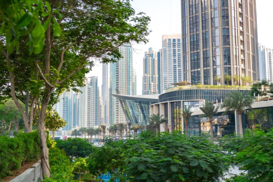 Urban park with lush greenery in Dubai